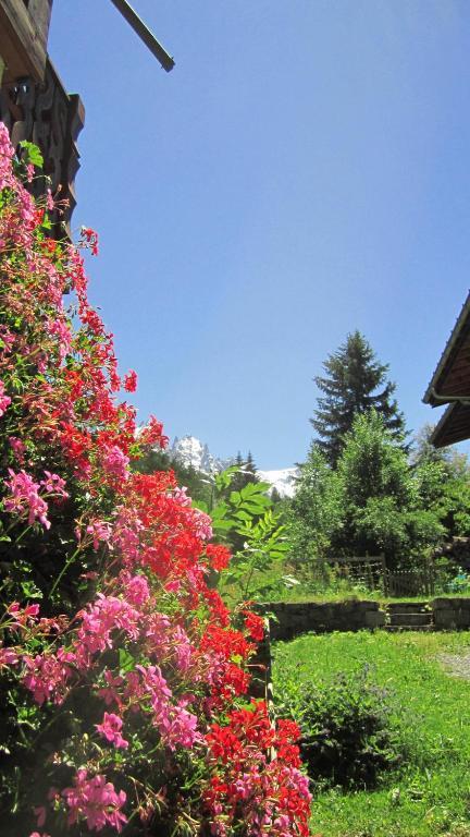 Beausoleil Bed & Breakfast Chamonix Bagian luar foto