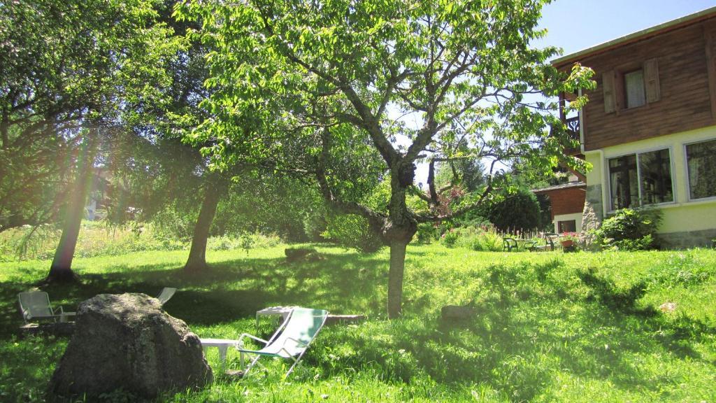 Beausoleil Bed & Breakfast Chamonix Bagian luar foto
