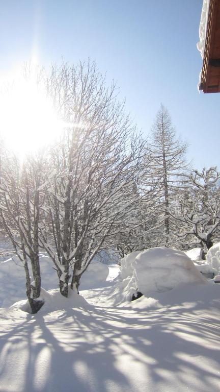 Beausoleil Bed & Breakfast Chamonix Bagian luar foto
