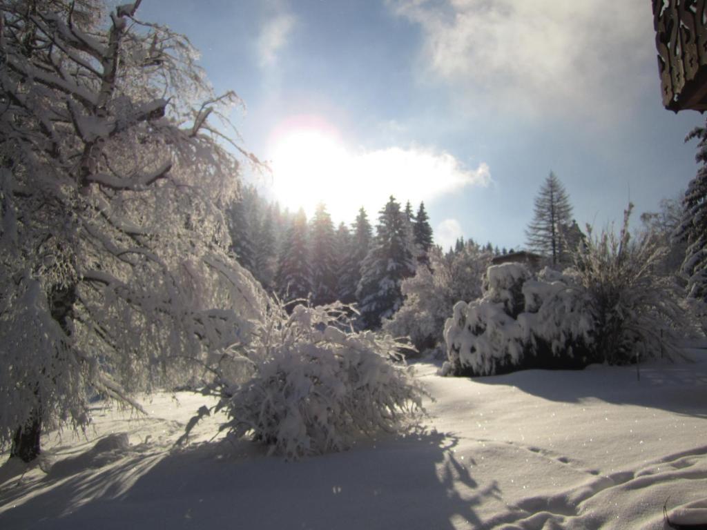 Beausoleil Bed & Breakfast Chamonix Bagian luar foto