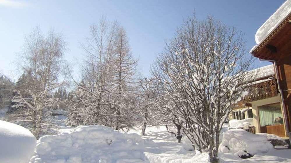 Beausoleil Bed & Breakfast Chamonix Bagian luar foto